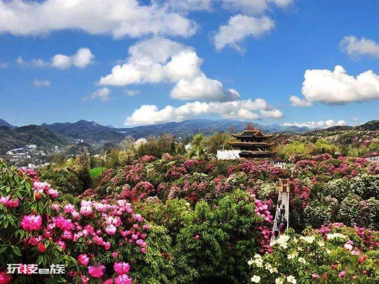 贵州毕节旅游景点有哪些地方(档次著名旅游景点推荐)-图片6